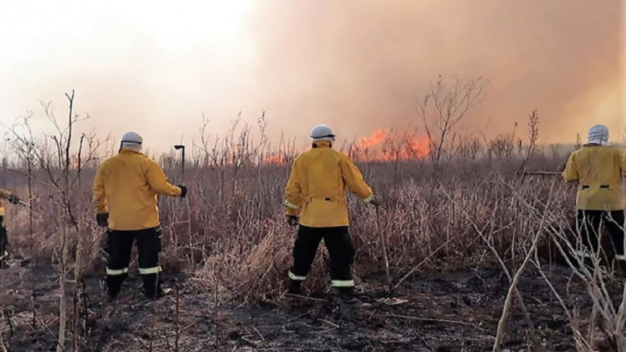 Incendios en el Delta: por primera vez llegan a juicio dos causas por quemas intencionales y hay seis acusados