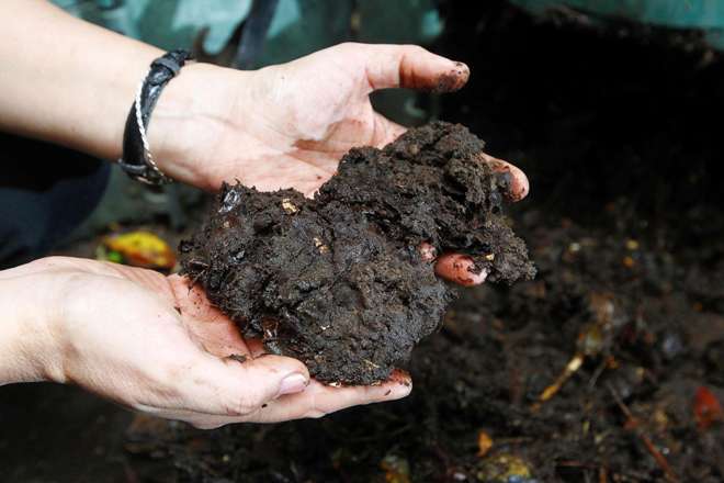 Aprendé a hacer compost en casa y convertí la basura en vida