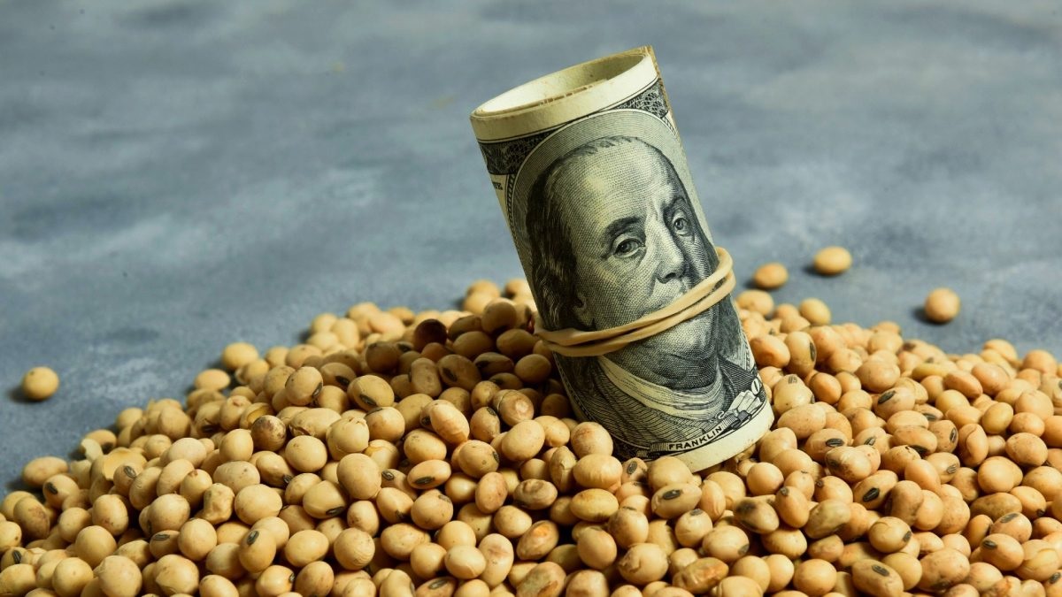 Exportadores liquidaron US$ 35,3 millones y el Banco Central cerró hoy con saldo comprador