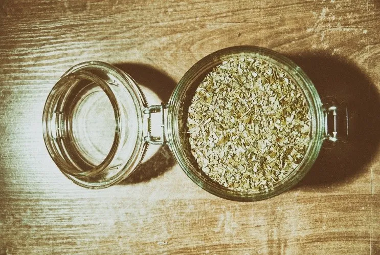 Yerba mate para almacenar energía: el hallazgo argentino que abre otra puerta para la industria