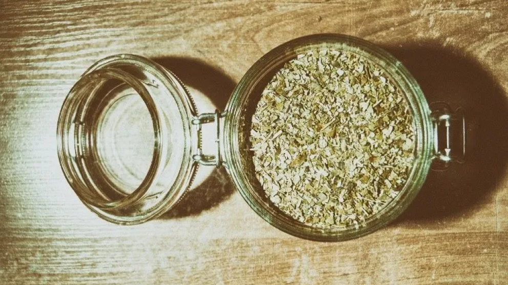 Yerba mate para almacenar energa: el hallazgo argentino que abre otra puerta para la industria