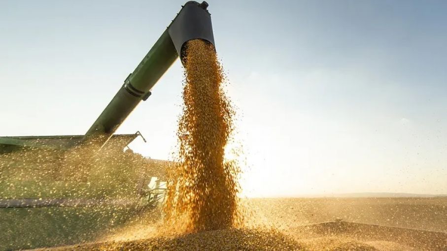 Exportadores liquidaron US$ 98,1 millones y el Banco Central volvió a cerrar con saldo comprador