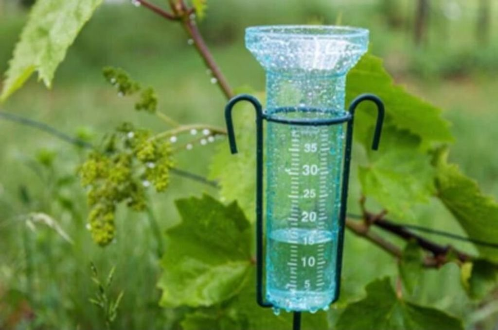 Entre Ríos registró lluvias hasta 174 milímetros menos que el promedio entre febrero y abril