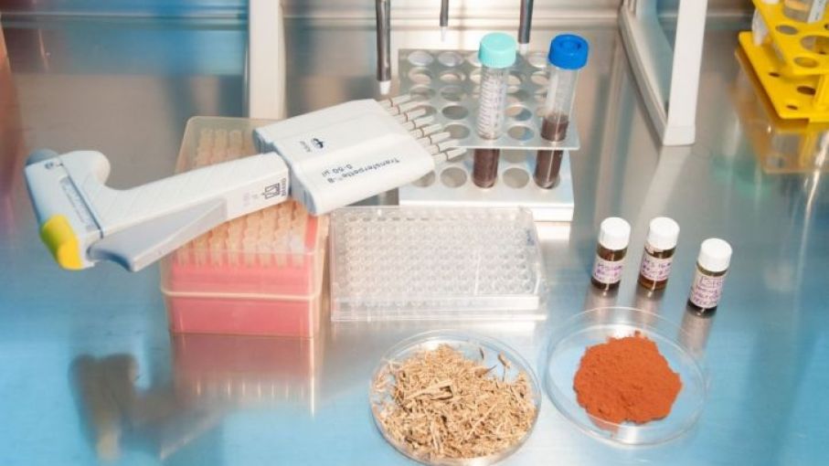 Agricultura presentó el Programa de Bioinsumos Agropecuarios Argentinos (PROBIAAR) 
