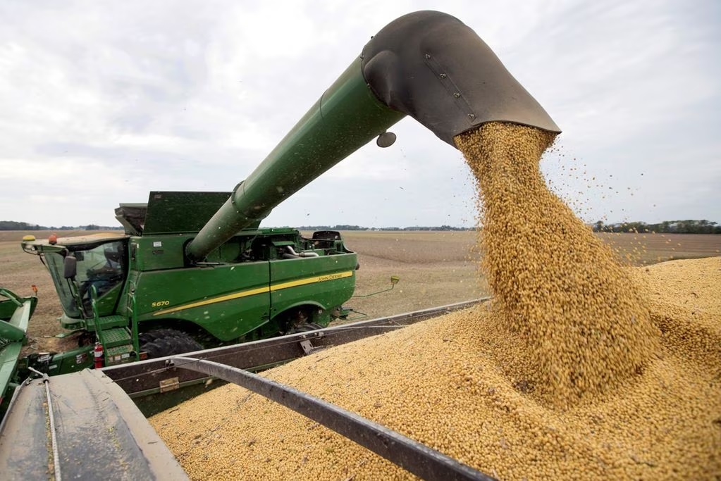 Estiman que el campo liquidará U$S 20.000 millones menos este año