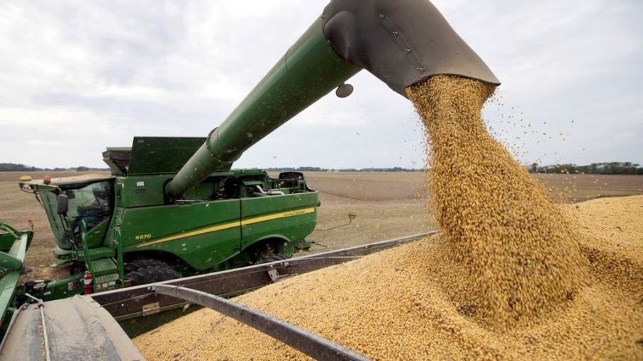 Estiman que el campo liquidará U$S 20.000 millones menos este año