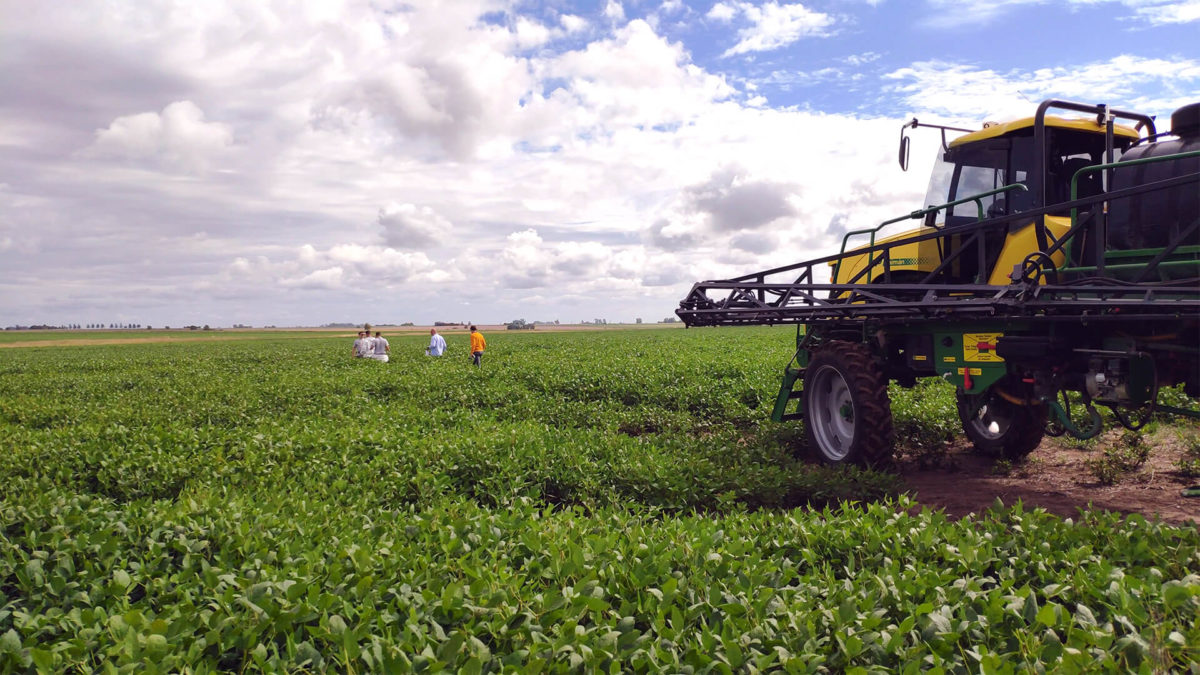 Economía crea programa de apoyo a universidades nacionales para proyectos de investigación del agro