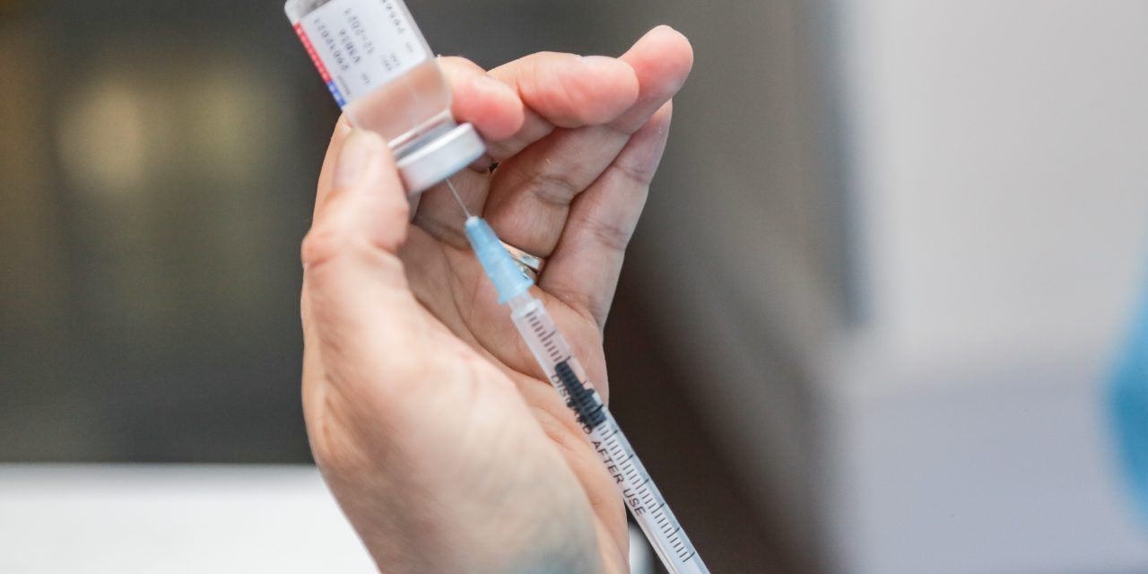 Brasil - Butantan trabaja en una vacuna contra la gripe aviar