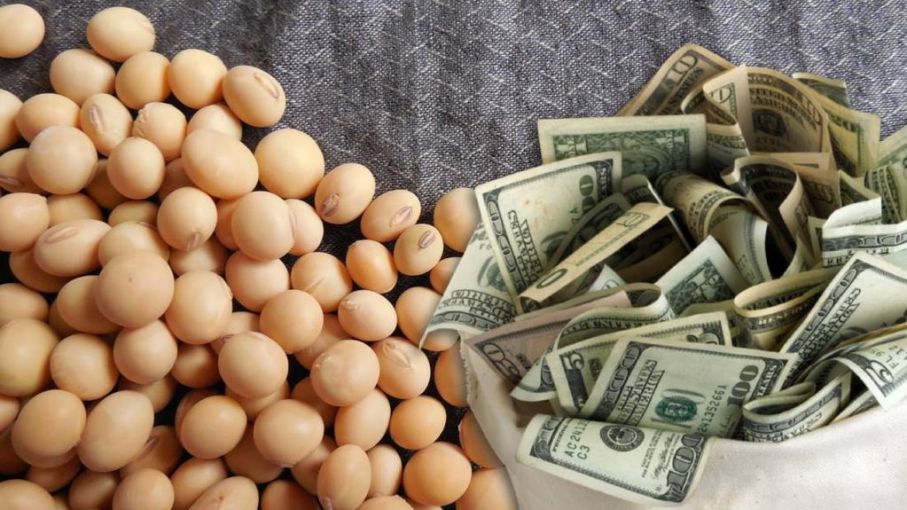 ¿Un nuevo dólar soja? Los anuncios de Massa también incluyeron al campo