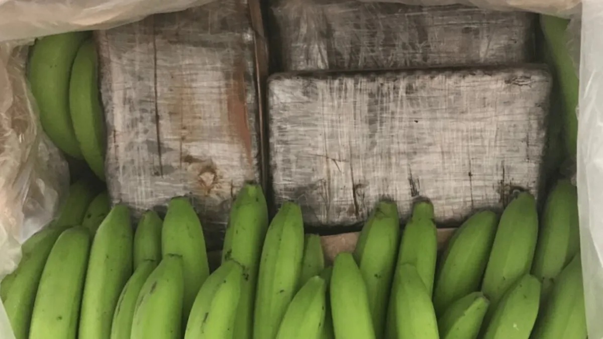 Salta: secuestraron en la frontera más de cien kilos de cocaína entre bananas