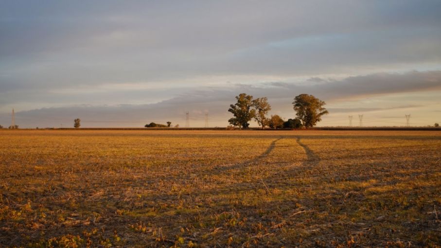 "Pronóstico del clima en Argentina: El frío cede y se anticipa un junio cálido"