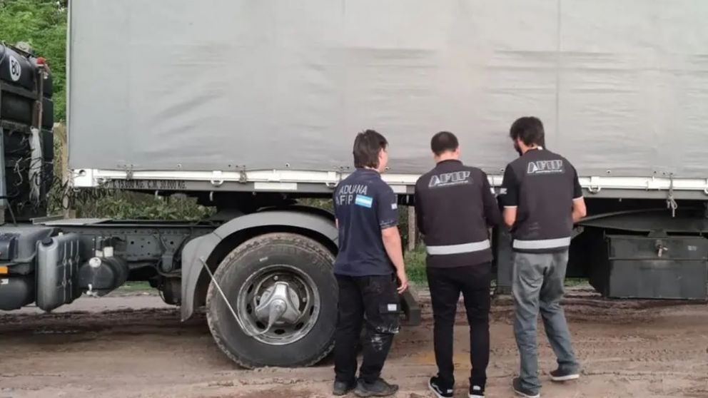 Incautan tres camiones con maz que circulaban con documentacin falsa