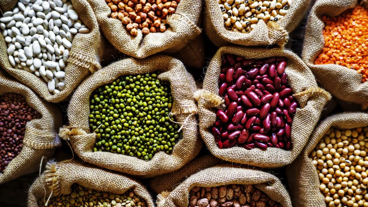Argentina exporta 95% de los porotos que produce y es uno de los mayores vendedores del mundo