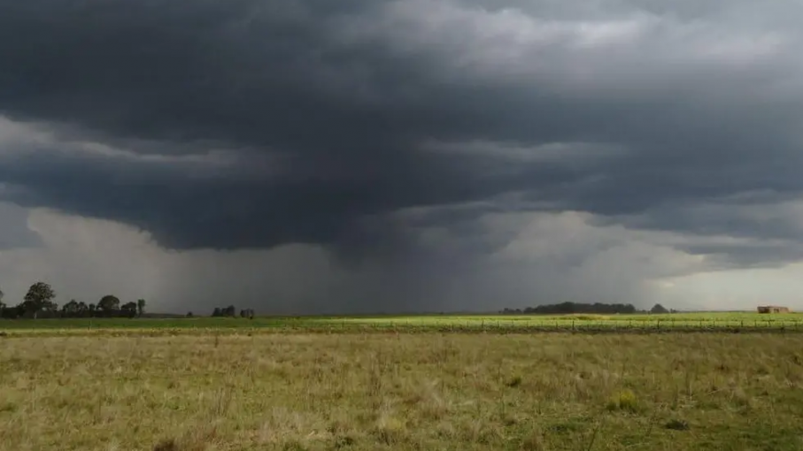 Lluvias por sobre lo estimado mejoran el panorama agrícola para la zona núcleo