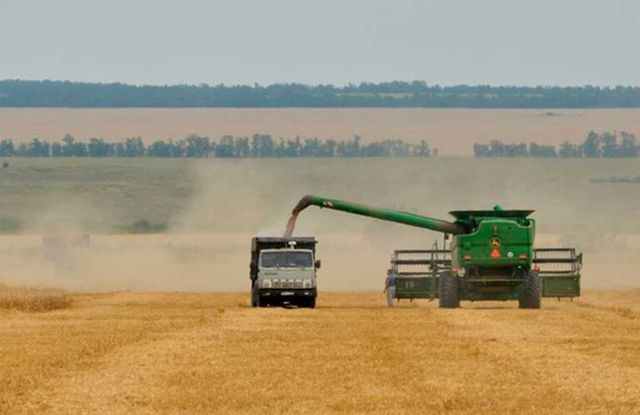 Estado y condición de los cultivos en Argentina: Lento avance de la cosecha luego de una semana con alta humedad