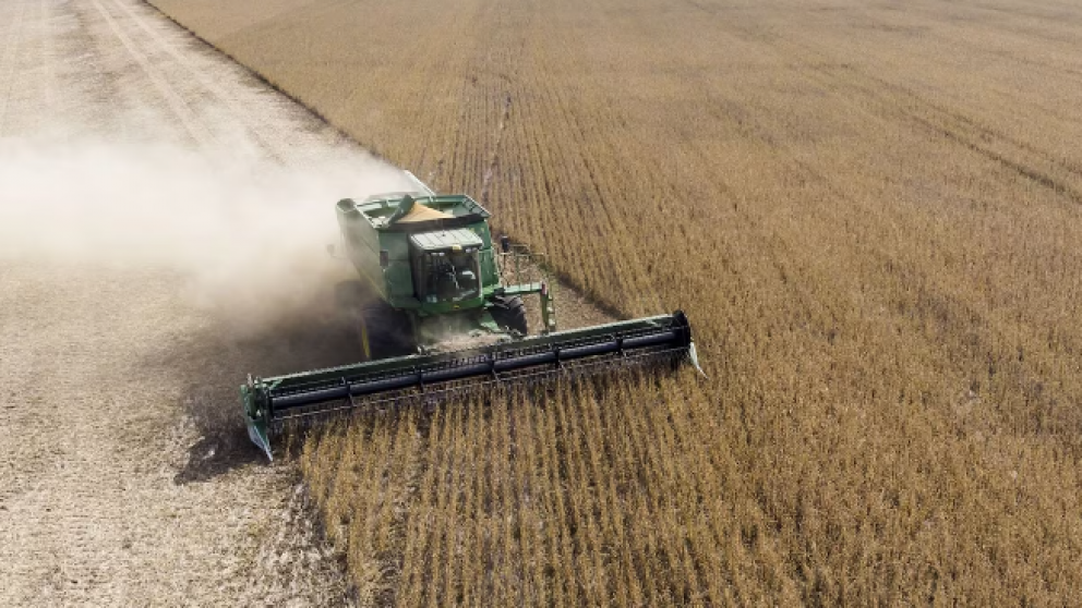 Caen las liquidaciones de dlares del agro en 2023 a pesar de una mejora en mayo