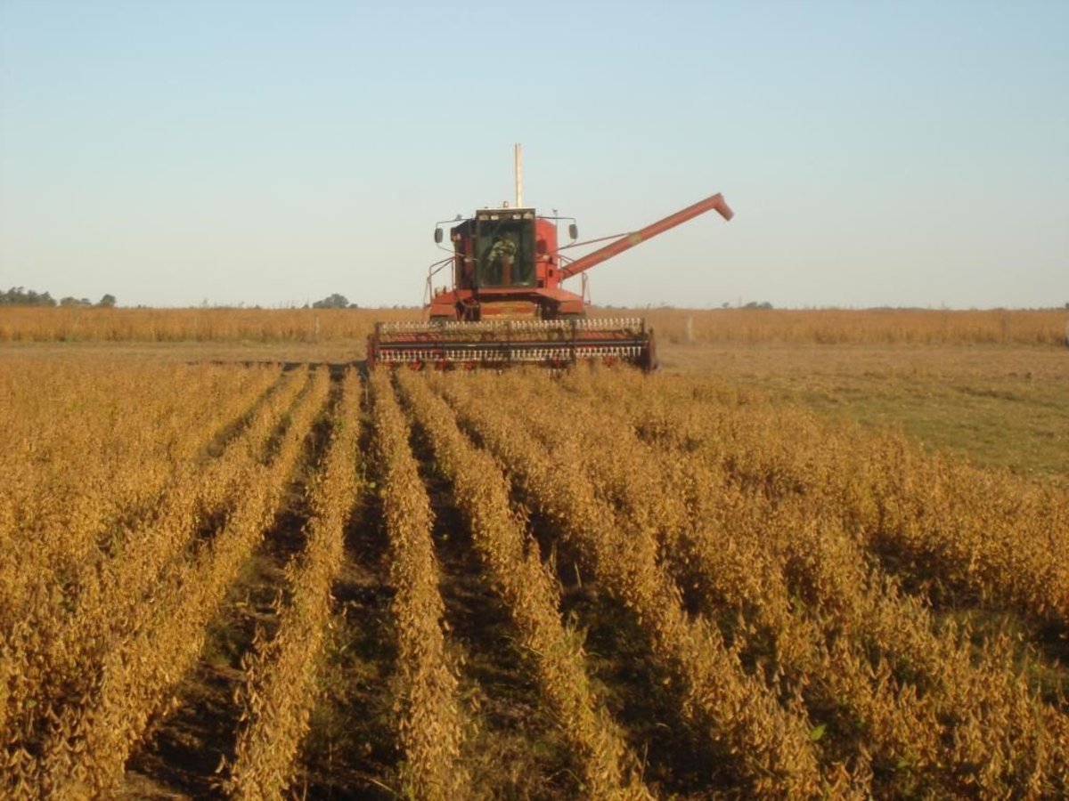 Massa se reúne con Vizzotti, anuncia medidas para el agro y luego viaja a Catamarca junto a De Pedro