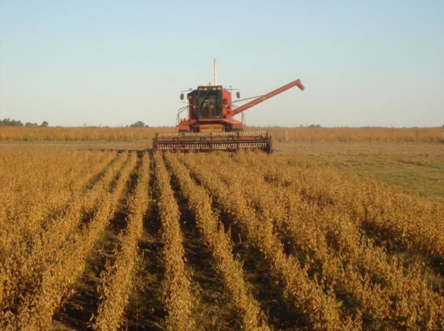Caen las liquidaciones de dólares del agro en 2023 a pesar de una mejora en mayo
