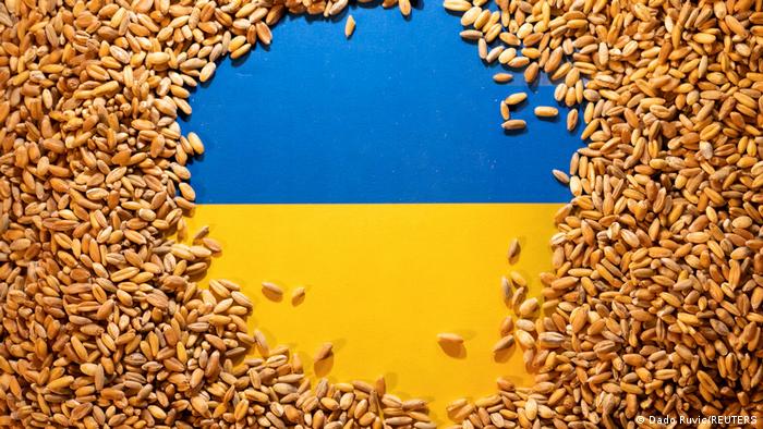 La Comisión Europea le pidió a cinco países que levanten el embargo a las importaciones de cereales procedentes de Ucrania.