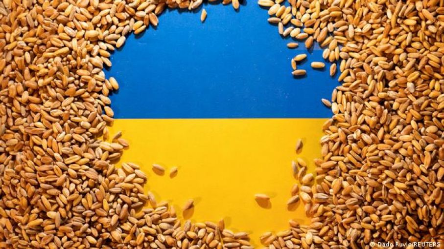 La Comisión Europea le pidió a cinco países que levanten el embargo a las importaciones de cereales procedentes de Ucrania.
