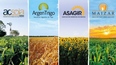 Medidas ineficaces y preocupantes: el gobierno repite errores en la agroindustria