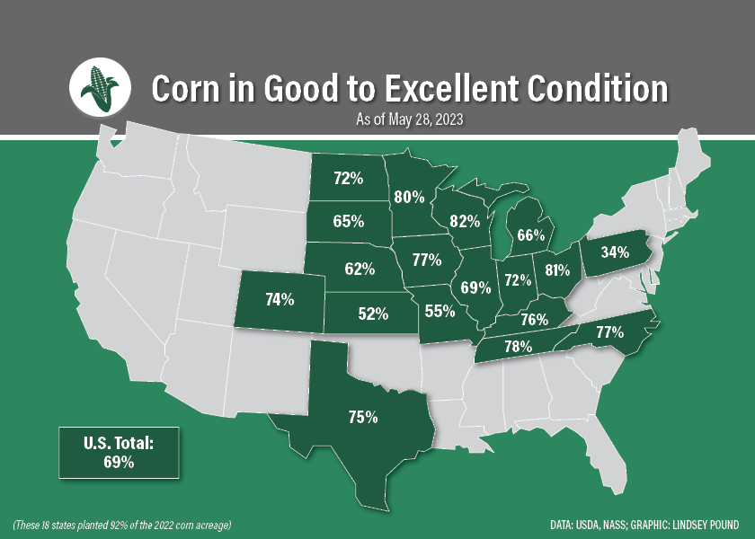 Las condiciones del cultivo de maíz en Estados Unidos son actualmente mejores que hace un año.
