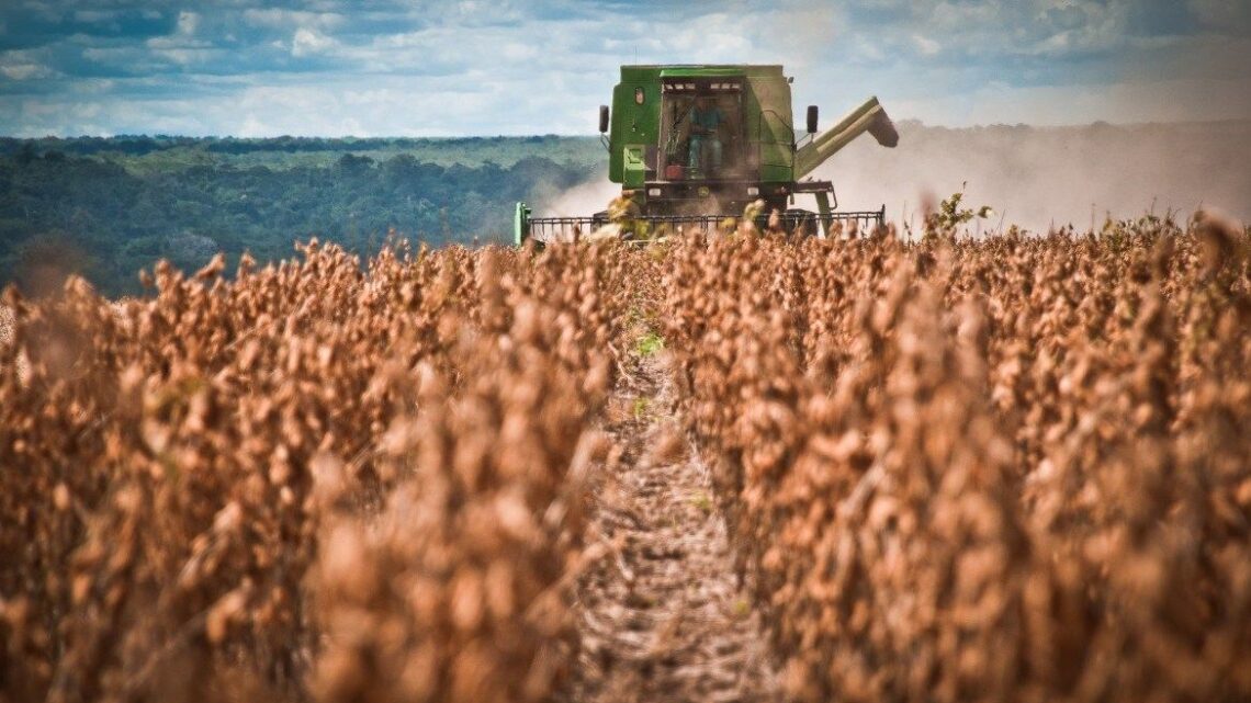 Sostienen que el nuevo gobierno no debe subestimar al sector agropecuario 