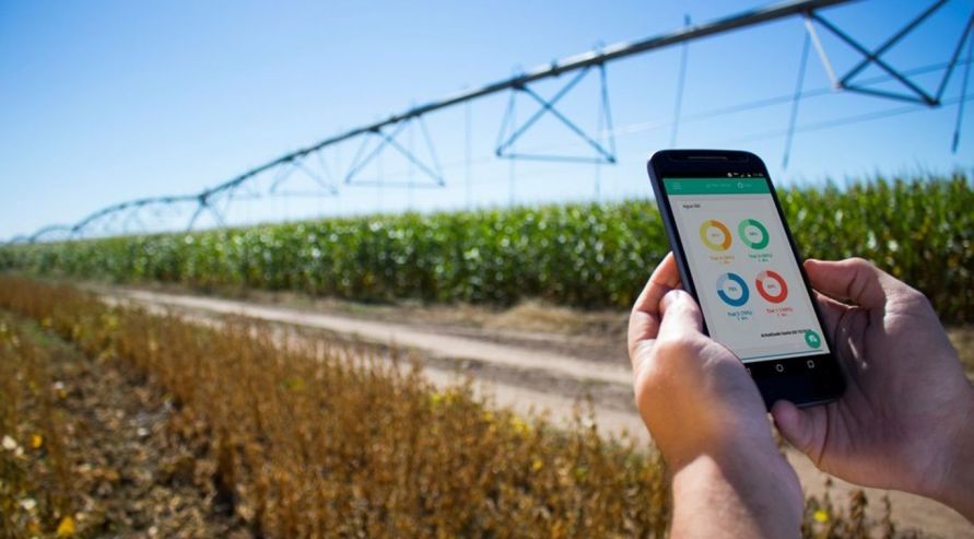 Internet: mejoró la conectividad en las zonas rurales, pero hay fuertes brechas con las ciudades