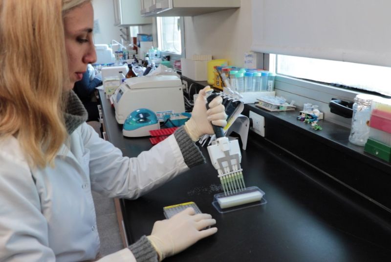 Descubren la estructura de una proteína clave en la replicación del virus que causa el Mal de Río Cuarto en maíz