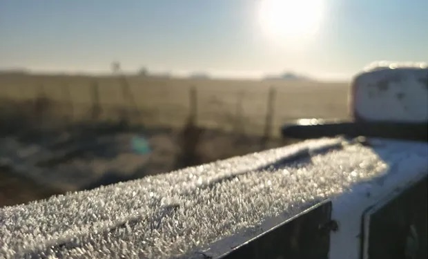 Heladas en la región pampeana: efectos positivos para la siembra del trigo