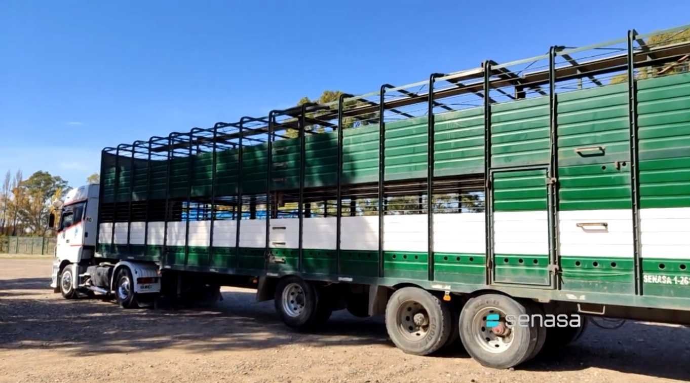 El Senasa lanzó plan de verificación de transportes para mejorar trazabilidad en la ganadería