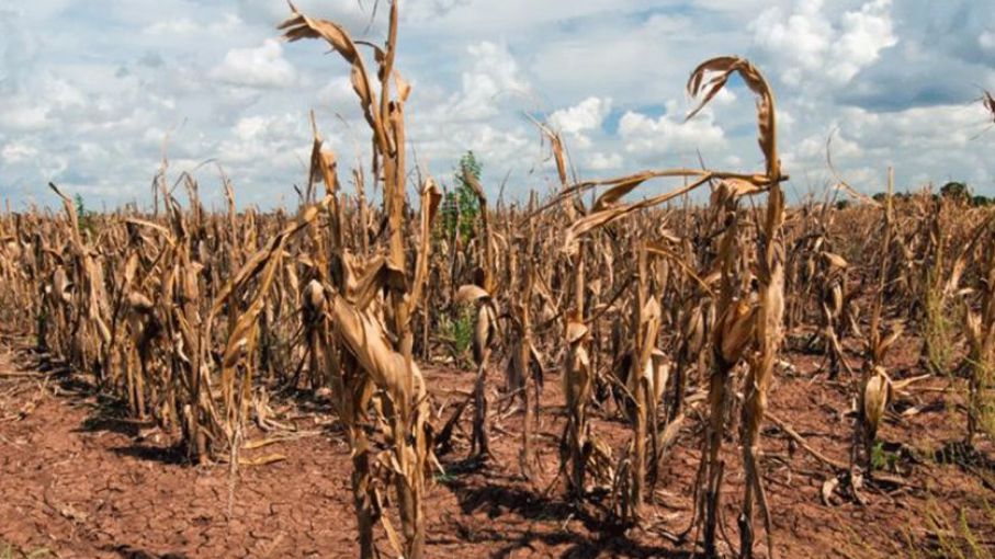  Fuerte caída de la actividad económica en abril por la sequía