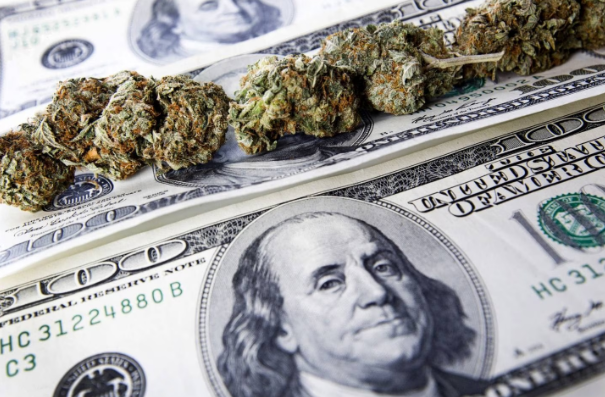 Colombia se acerca a la regulación del cannabis de uso adulto: ¿qué está en juego
