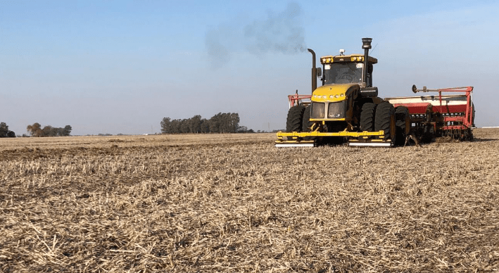 Estado y condición de los cultivos en Argentina: avanza la siembra de trigo, mientras la cosecha de soja está próxima a finalizar