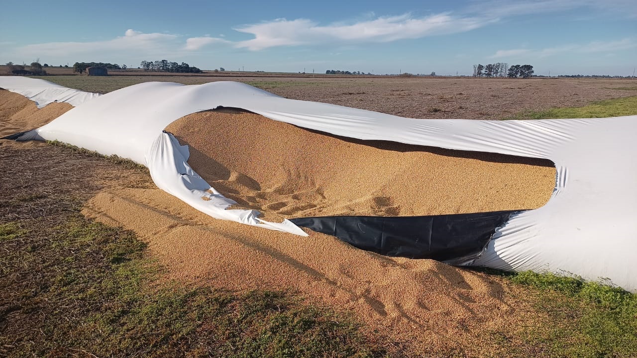Productor rural sufre robo millonario: le rompen silobolsa y roban soja valuada en más de $3 millones