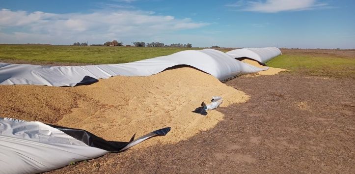 Silobolsa roto en Los Cardos, Santa Fe.