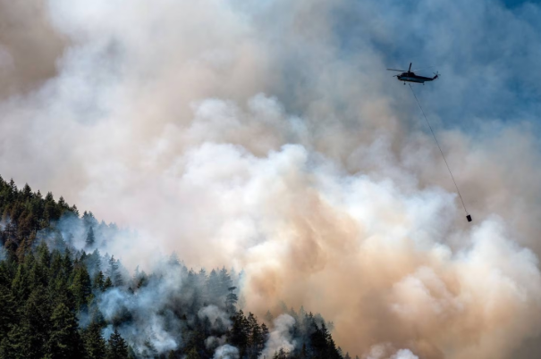 Incendios en Canadá y conflicto en Europa impulsan los precios de la avena