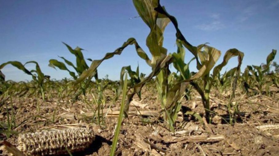 Ranking de provincias con mayor demanda de asistencia agropecuaria por desastres naturales