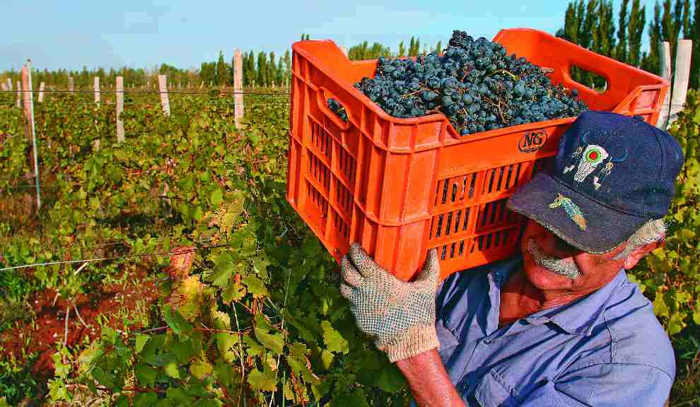 Más del 50% de las economías regionales enfrentan una situación crítica, según Coninagro