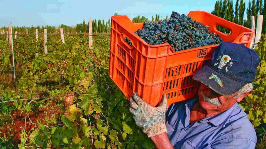 Más del 50% de las economías regionales enfrentan una situación crítica, según Coninagro
