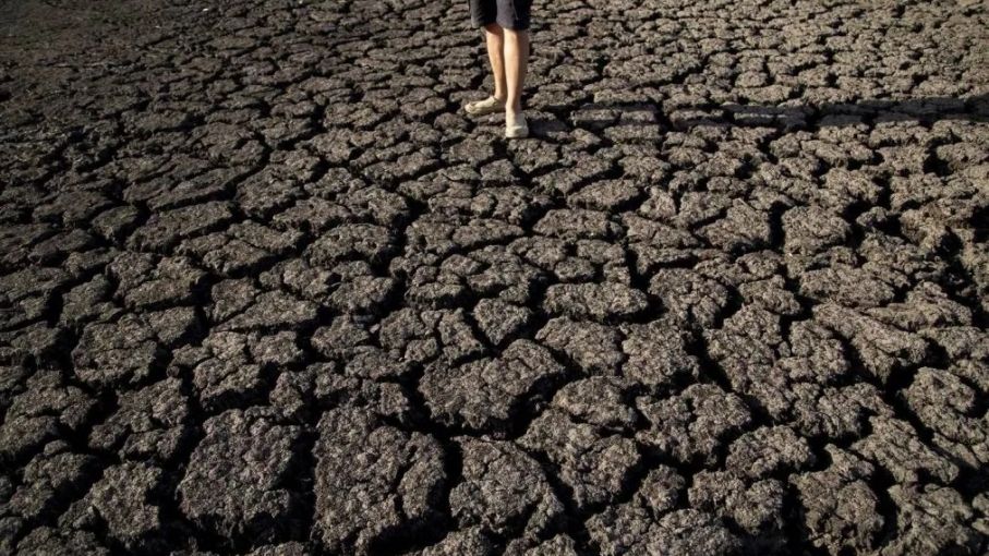 Una sequía histórica y dos emergencias, todo lo que hay que saber de la crisis que azota al Uruguay