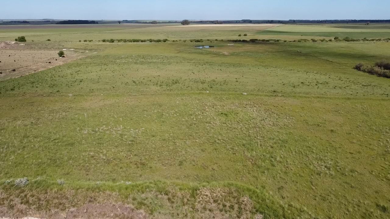 Panorama del mercado inmobiliario rural 