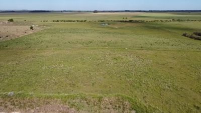 El mercado inmobiliario rural crece impulsado por la estabilidad política y cambiaria