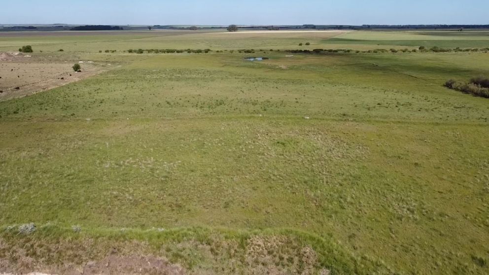 El mercado inmobiliario rural crece impulsado por la estabilidad poltica y cambiaria