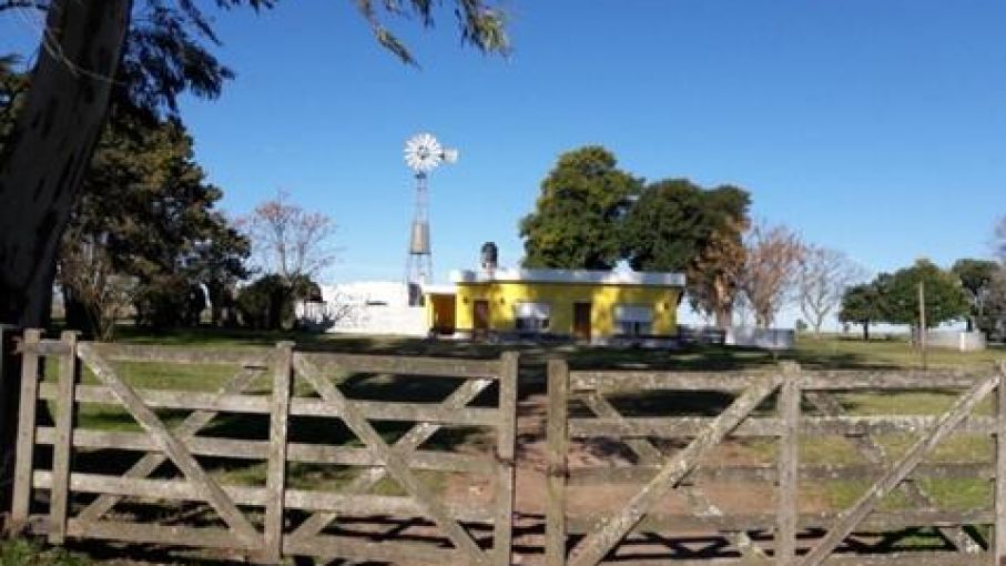 Incremento de los precios de arrendamiento de campos debido a las expectativas de un nuevo gobierno