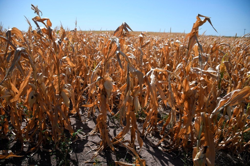 Termina el otoño: ¿en qué regiones sigue la condición de sequía?