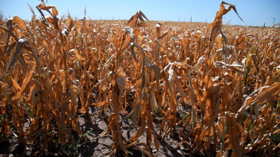 Termina el otoño: ¿en qué regiones sigue la condición de sequía?