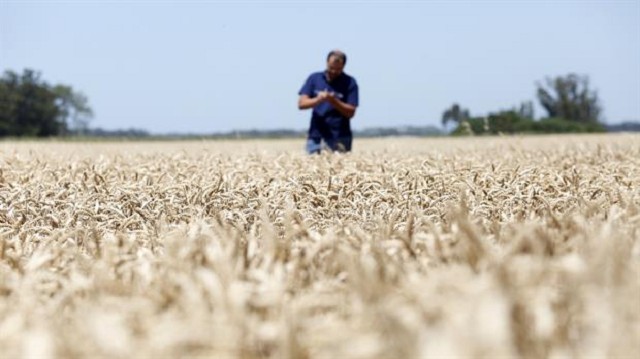 Expectativas positivas a pesar de los desafíos: los productores agropecuarios confían en un futuro próspero
