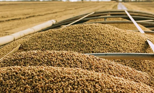 Brasil producirá menos cereales que la temporada pasada