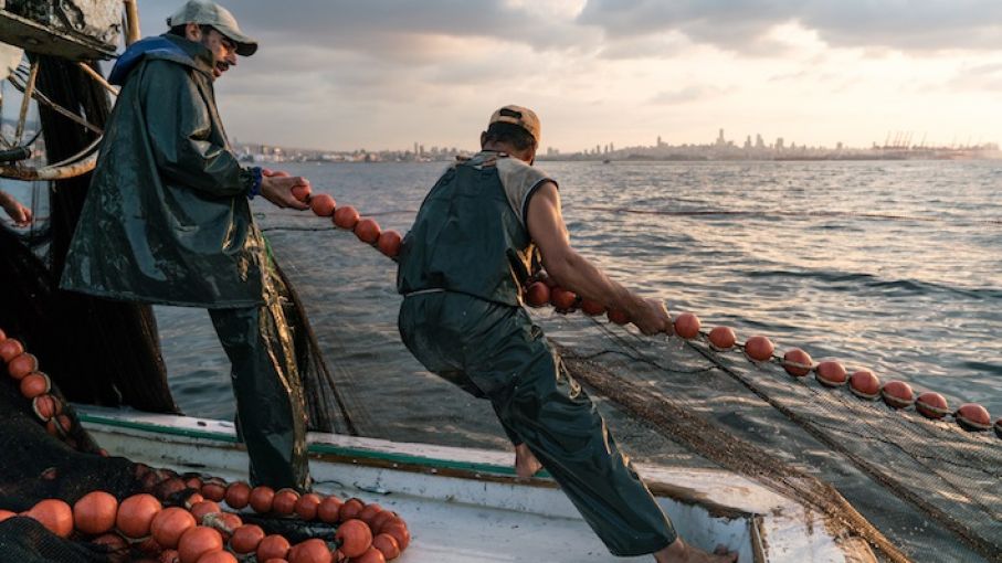 Reducción de la pesca incidental: Medidas adoptadas en Argentina según la FAO